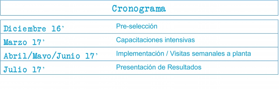 cronograma