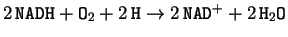 $2 \, \mathtt{NADH} + \mathtt{O}_2 + 2 \, \mathtt{H} \to 2 \,
\mathtt{NAD}^{+} + 2 \, \mathtt{H}_2\mathtt{O} $